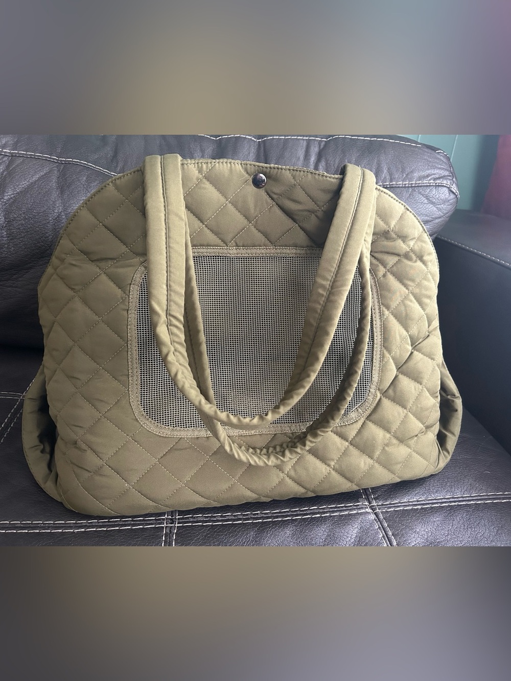 Heart to tail small dog pet carrier